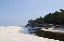 Piaśnica w Dębkach