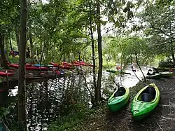 Spływ kajakowy Piaśnicą