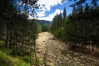 Strumień przepływający przez park (2020)