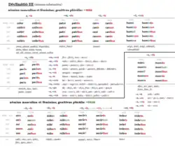 Deklinacja III rzeczowników r. męskiego i żeńskiego