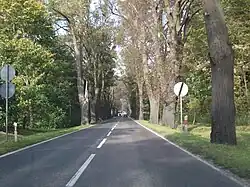 DK55 – Ulica Miłosna w Kwidzynie