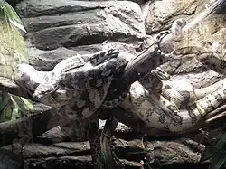 Herpetarium w Aquarium