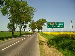 DW 917 pomiędzy Bojanowem, a Raciborzem