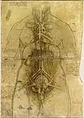 Esej Między sztuka a naukąLeonardo da Vinci,Studium anatomiczne&nbsp;ok. 1510