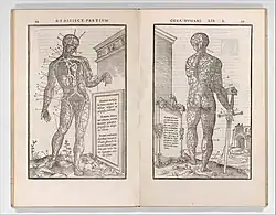 Ilustracja z ''De dissectione partium corporis humani libri tres''