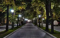 Deptak, Aleja Leona Nowotarskiego, widok w nocy