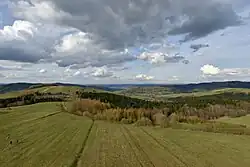 Widok z wieży