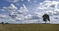 Krzyż w nieistniejącej wiosce Dyskajmie, w której urodził się ks. Kazimierz Siemaszko.