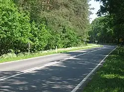 Niebezpieczny zakręt za Zielinem