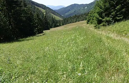 Dolina potoku Ráztočná