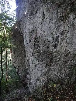 Skała poniżej ścieżki