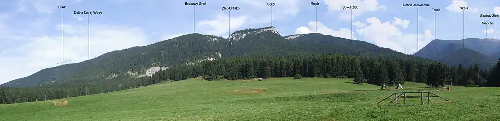 Panorama z łąki Lespieńce