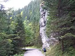 Brama Kraszewskiego w Dolinie Kościeliskiej nazwana na cześć pisarza