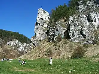 Grupa Żabiego Konia