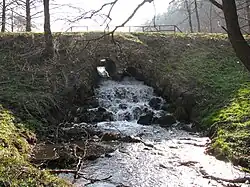 Wodospad na Potoku Oliwskim