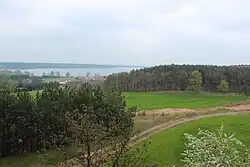 Widok z wieży widokowej