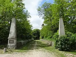 Droga wjazdowa do dawnego pałacu w Hohenjesar