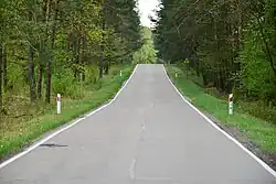 Droga wojewódzka nr 693 w rejonie Żerczyc