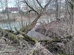 Ujscie Dukiełki do Jasiołki