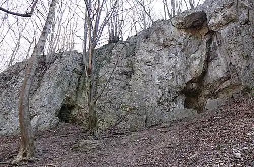 Otwory Schroniska przy Jaskini Dzikiej i Jaskini Dzikiej