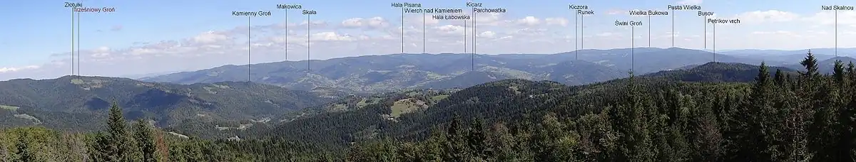 Widok na Petrikov vrch z Eliaszówki