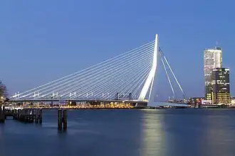 Erasmusbrug w Rotterdamie