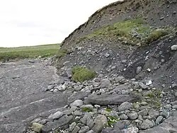 Odkrywka geologiczna w obrębie erodującego drumlinu. Irlandia