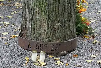 Pierścień ze współrzędnymi