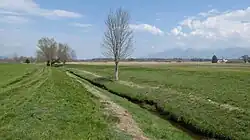 Częściowo renaturyzowany rów melioracyjny.