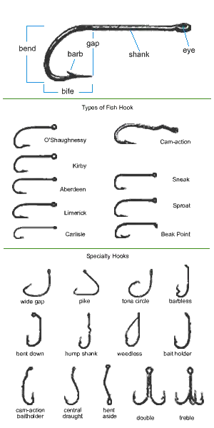 budowa i różne typy haczyków