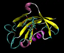 Model wstążkowy kompletsu białka FKBP12 z takrolimusem (żółty – harmonijki β; fioletowy –helisy α)