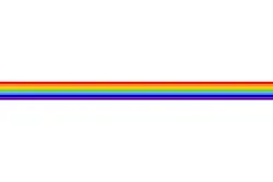 Pierwotny wzór flagi obowiązujący od lipca do listopada 1996