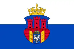 Substytut chorągwi miejskiej, używany od końca lat 90. do 2005 roku. Zastąpiony przez oficjalną Chorągiew uchwaloną w 2002 roku.