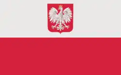 Flaga państwowa z godłem RP