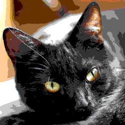 Obraz w palecie ograniczonej (web safe) bez użycia algorytmu F-S – widoczny banding