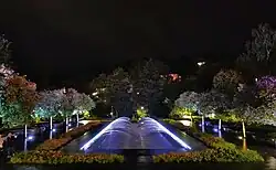 Fontanna „Setka”, widok w nocy