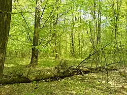 południowa część rezerwatu