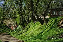 Widok na otoczenie fortu zza ogrodzenia, w głębi widoczny fort