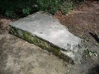 Zachowany fragment ściany pałacu z widocznym (prawy, dolny róg), prawdopodobnie herbem „Dołęga” hrabiego Mycielskiego