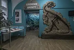 Fragment wystawy stałej „Łukowskie amonity”