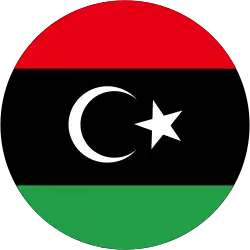 Narodowa Rada Tymczasowa (2011–2014)