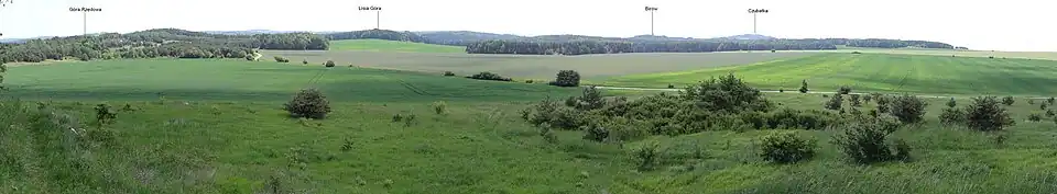 Widok na Górę Rzędową ze Skały Rzędowej