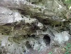 Rzeźba krasowa skał