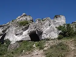 Skała z Mysim Trawersem i otwór schroniska