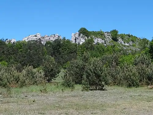 Widok na Górę Zborów z drogi nr 792