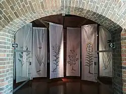 Wystawa czasowa "Rośliny Cybiny", 2018