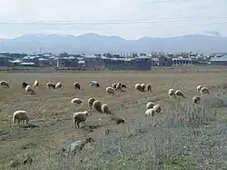 Przedmieścia Gawarr