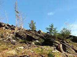 Wychodnie piaskowca na zboczu Glinnego (2007)