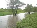 maj 2010 - wezbrany Strumień Godowski w okol. ul. Wiejskiej