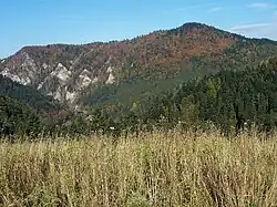 Golica z okolic przełęczy pod Klasztorną Górą